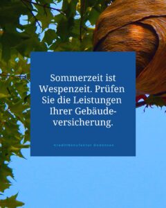 Wespenzeit