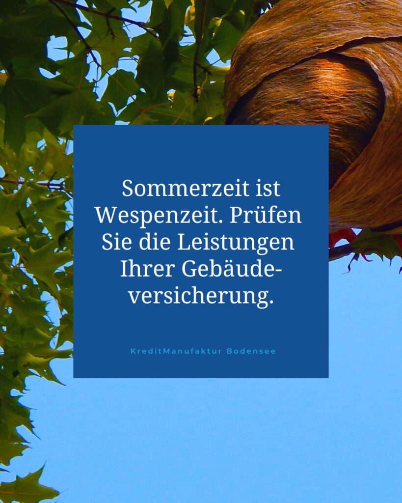 Wespenzeit